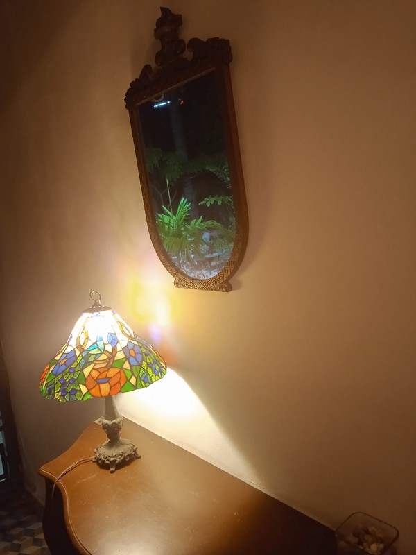 Mansión Castillo , Vedado . Casona en el Vedado. 