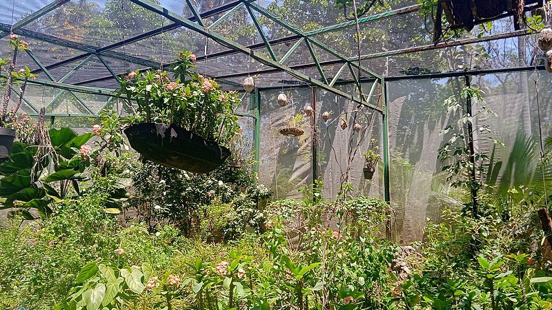 Mariposario Quinta de los Molinos - Centro Habana - Medio ambiente en La Habana