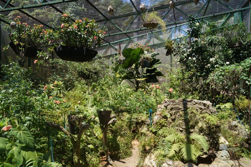 Mariposario Quinta de los Molinos - Centro Habana - Medio ambiente en La Habana