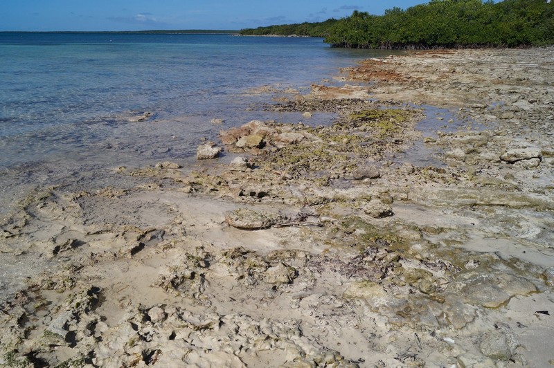 Playa Periquillo . Cayo Las Bruhas . Caibarien , Santa Clara , Cayo Santa María 