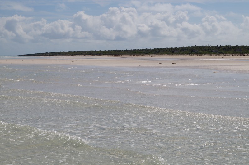 Reserva Natural Cayo Santa María Refugio de Fauna Playa Las Gaviotas