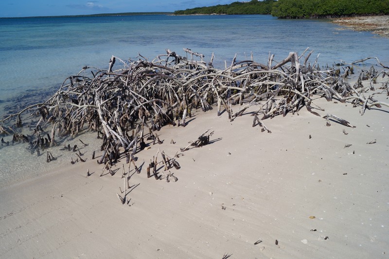 Playa Periquillo . Cayo Las Bruhas . Caibarien , Santa Clara , Cayo Santa María 