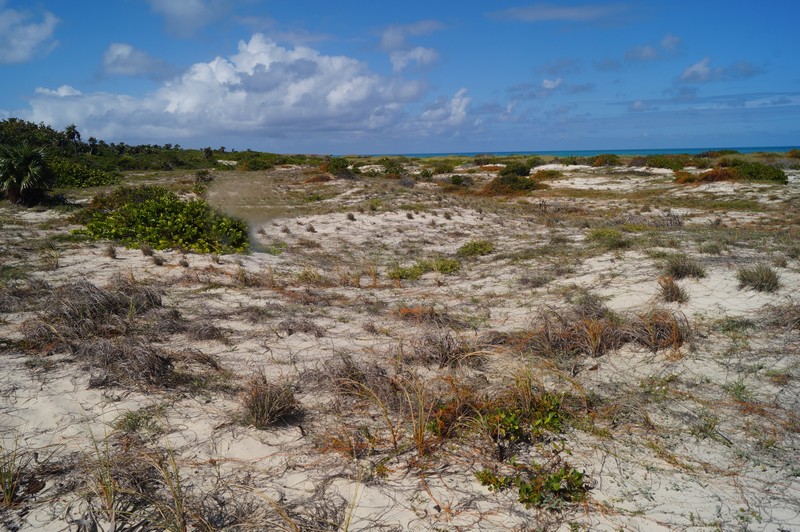 Reserva Natural Cayo Santa María Refugio de Fauna Playa Las Gaviotas