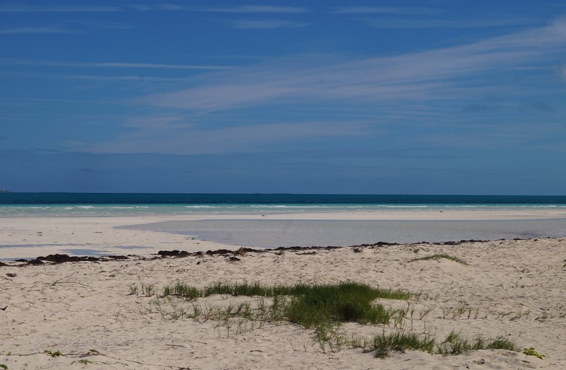 Reserva Natural Cayo Santa María Refugio de Fauna Playa Las Gaviotas